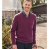 Pull à Col V - Homme - Laine D'agneau -Woolovers 0b7ea 211603 l2m plummarl m 9