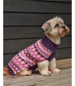Pull Jacquard Pour Chien - Pure Laine D'agneau -Woolovers 139260 p712 purpleandpinkfairisle w 5