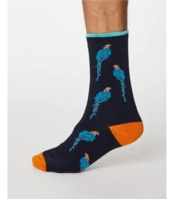 Pappagallo Socks