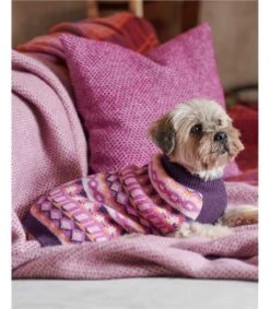 Pull Jacquard Pour Chien - Pure Laine D'agneau