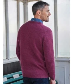Pull à Col V - Homme - Laine D'agneau -Woolovers f0b9d 211603 l2m plummarl m 9